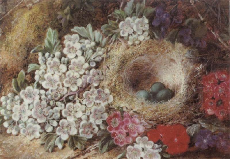 Bird-s Nest Still Life, Clare George